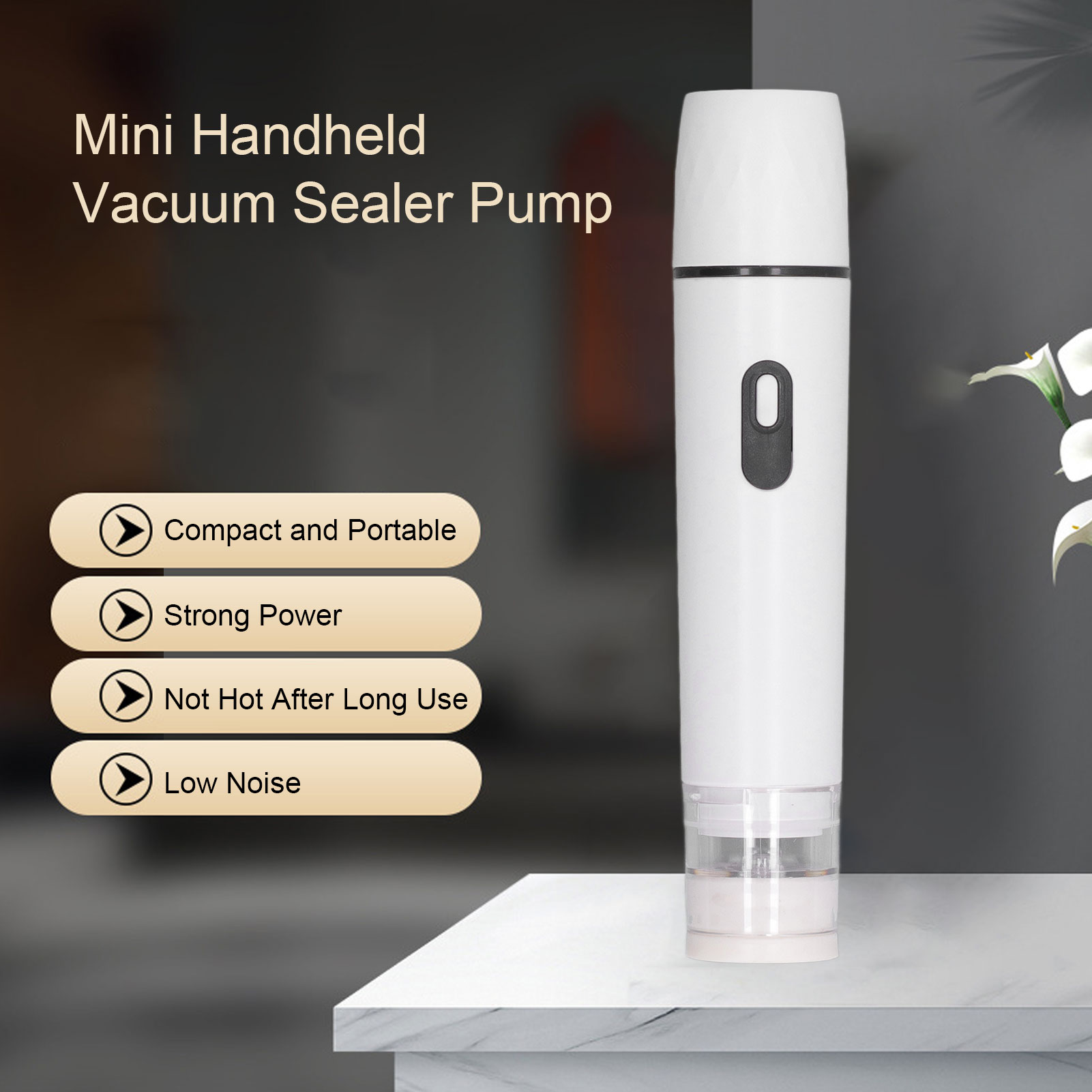 Pompa Udara Listrik Penyegel V - Food Storage Vacuum Seal ulasan dan harga