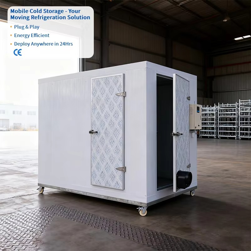Ruang Pendingin Bergerak denga - Food Storage Zone ulasan dan harga